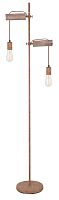 Торшер Globo Lighting Jakob 15327-2SN