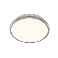 Настенно-потолочный светильник Citilux Луна CL702161W