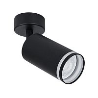 Светильник потолочный Arte Lamp Imai A2365PL-1BK