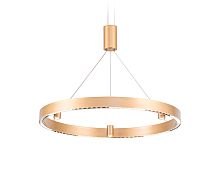 Подвесной светодиодный светильник Ambrella COMFORT Line FL5846