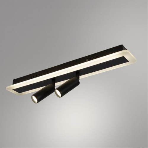 Потолочный светильник Arte Lamp TOMMY A2607PL-22BK фото 3
