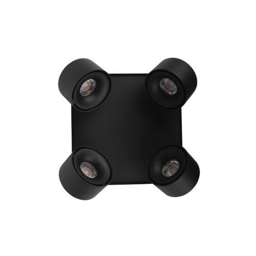 Накладной светильник LOFT IT Case 10326 Black фото 4