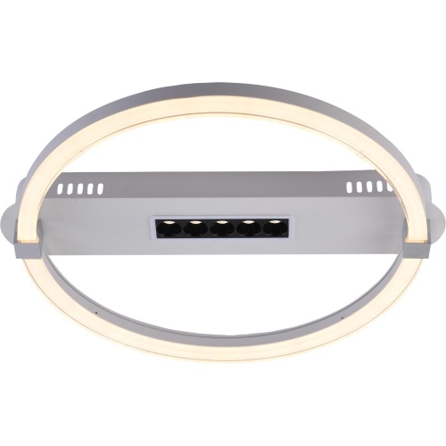 Потолочный светильник Escada  LED*26+3W 10253/1LED фото 4