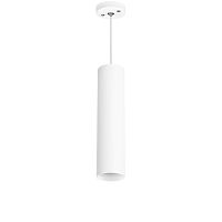 Комплект со светильником Lightstar Rullo RP496