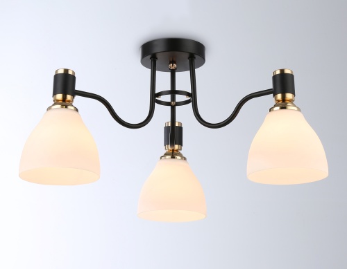 Потолочный светильник Ambrella TRADITIONAL TR303303 фото 3