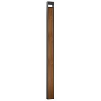 Уличный светильник ARTE LAMP ARNEB A2140PA-1BR