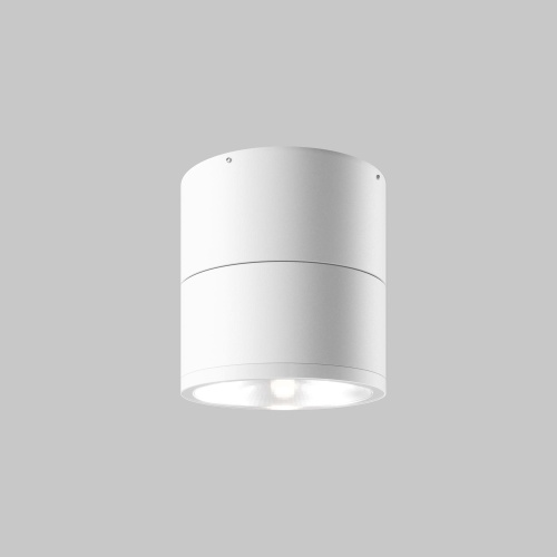 Потолочный светильник Maytoni Outdoor O310CL-L12W3K фото 3
