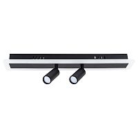 Потолочный светильник Arte Lamp TOMMY A2607PL-22BK