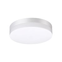 Светильник ландшафтный светодиодный настенно-потолочного монтажа NovoTech STREET OPAL 358881