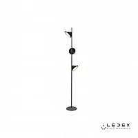 Напольный светильник iLedex Syzygy F010230 BK