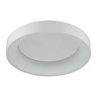 Потолочный светильник Odeon Light SOLE 4066/40CL
