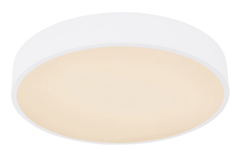 Люстра потолочная Globo Lighting Leanara 41756-24W