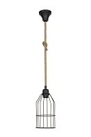 Подвес Alfreda Topllight TL1601H-01BK