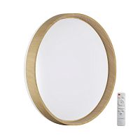 Настенно-потолочный светильник Sonex GARI WOOD 7684/EL