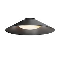 Подвесной светильник Maytoni Campana Parity TR127B-12W3K-B, черный