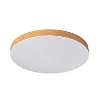 Потолочный светильник Sonex GAMMA 7761/24L
