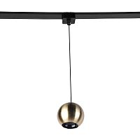 Трековый светильник Favourite Unica 4229-1P LED 3000-6000 черный, латунь