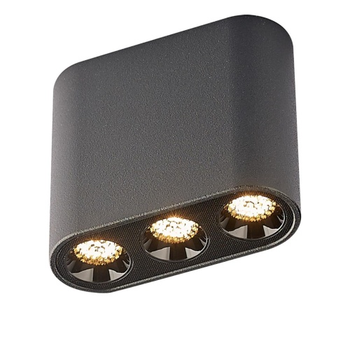 Потолочный светильник Odeon Light SMALL 7092/8CL фото 4