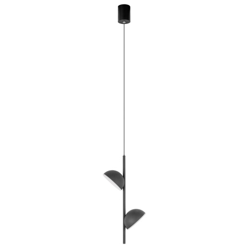 Подвесной светильник LOFT IT Mons 10335 Black