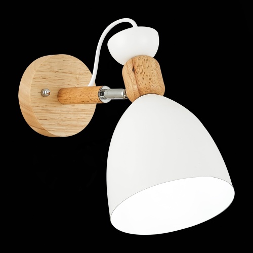 Светильник настенный Evoluce Balcamo SLE103801-01 фото 4