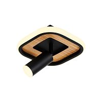Потолочный светильник F-Promo Olika 4439-1C