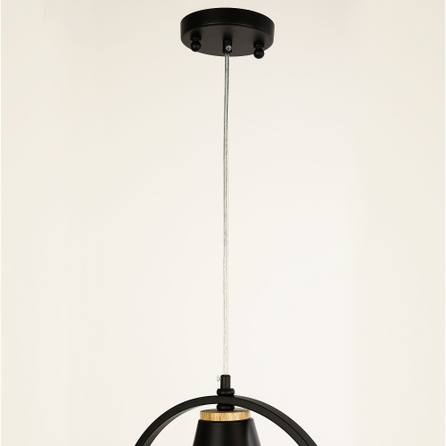 Подвес F-promo Uccello 2938-1P фото 5