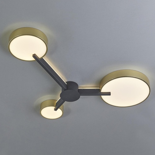 Потолочный светильник Escada EXPERT 10209/3LED фото 4