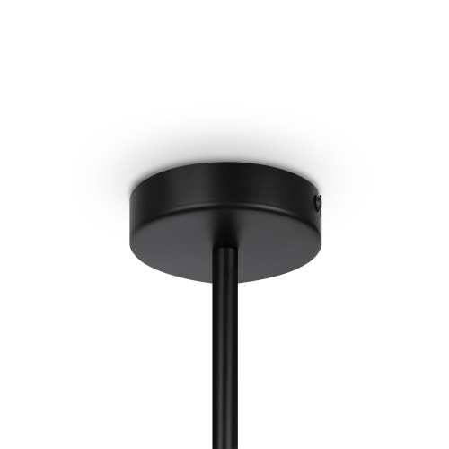 Подвесной светильник Maytoni Memory MOD177PL-04B фото 7
