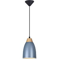 Светильник подвеснойToplightLeahTL0724H-2N